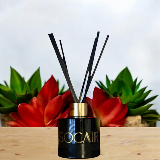 PULSE Essential Oils Reed Diffuser